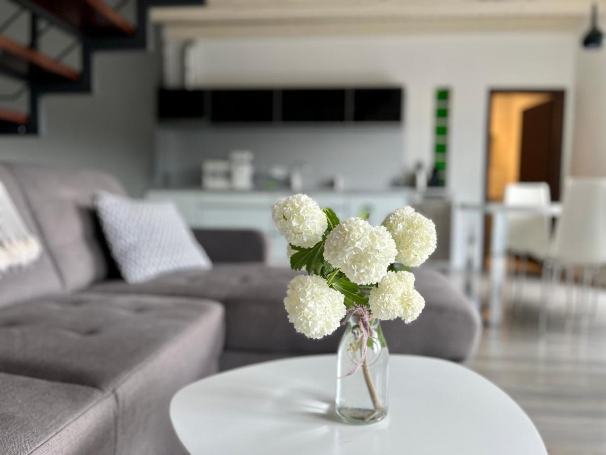 Modry Dom Apartment Spisske Bystre Luaran gambar
