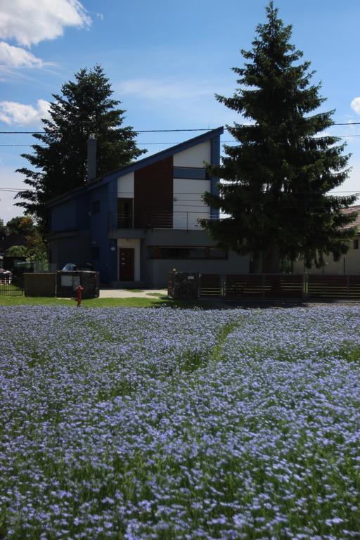 Modry Dom Apartment Spisske Bystre Luaran gambar